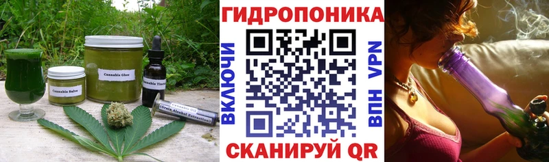 Купить где  Мензелинск  Cannafood конопля 
