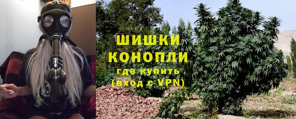 Альфа ПВП Великий Новгород