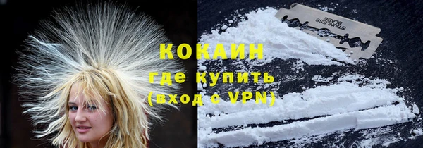 индика Карпинск